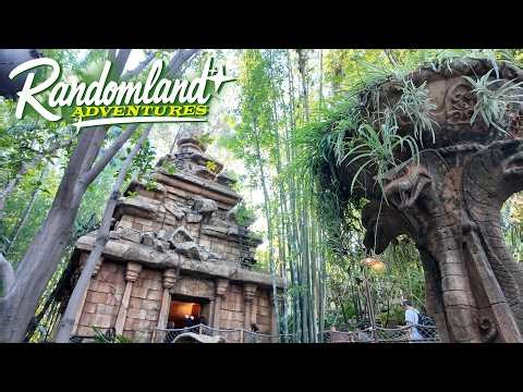 Now What? Disneyland, The Delorean, and the Circle of Goodness