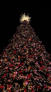 59K views · 3.6K reactions | Christmas fairy tale in the Principality...