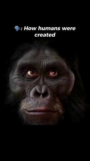 Quran vs Darwin: The Evolution of Humankind in Islam