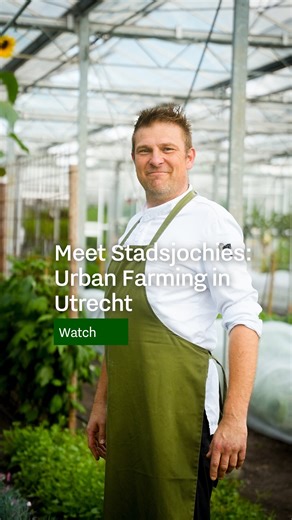 56K views · 71 reactions |  Growing greens, growing stories  Ever...