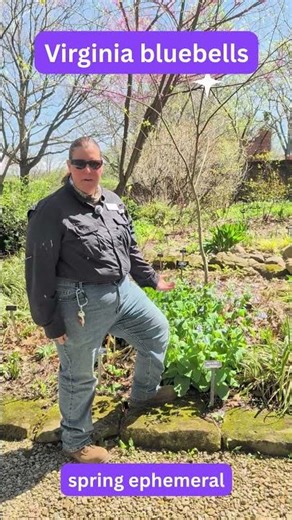Meet the Bloom: A Favorite from Kingwood’s Gardeners