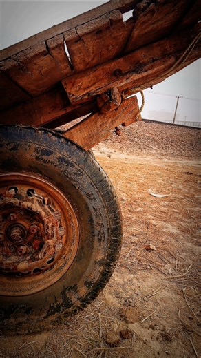 Aesthetic photography #viral #reels #photography