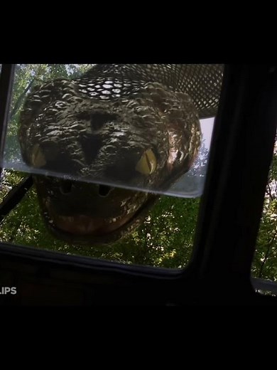 Anaconda 3 🐍 Explained Hindi #cortos #shortmovie