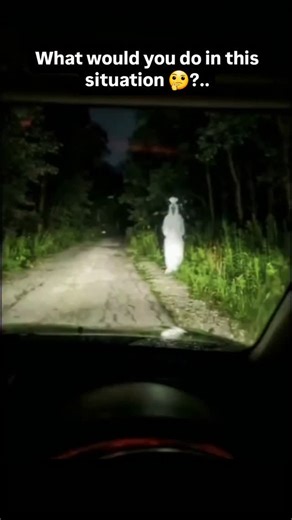 Scary_Encounter5 on Instagram: "What would you do in this situation 🤔?.. Credit- Poci ( IG / TT ) Follow 👉 @scaryencounter 👈 for more mysterious unsettling videos on IG No copyright infringement intended. DM and I'll remove your video. Thanks. #sky #cryptid #demon #mystery #viralreels #ufo #extraterrestrial #alien #scary #jin #creatures #creepy #trending #angel #mexico #pocong #paranormal #monsters #uap #aliencivilization #spirituality #usa #skinwalker #ghost #area51 #horror creatures alien c