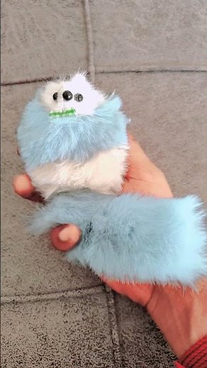 cute cat video 📸