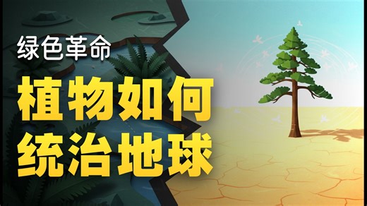 32_2植物的进化：它们如何征服地球