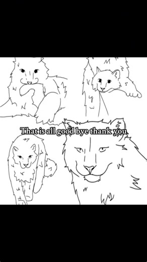 Snow Leopards: Fascinating Facts and Drawing Tips