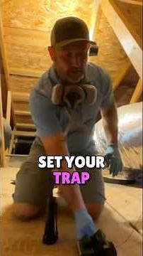 Mastering Trap Placement: A Guide for Trapping Rats and Mice in the Attic! #ratcontrol #diy