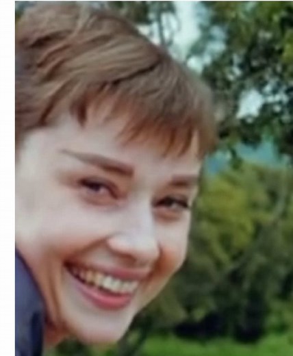 Audrey Hepburn: The Precious Little Sunshine