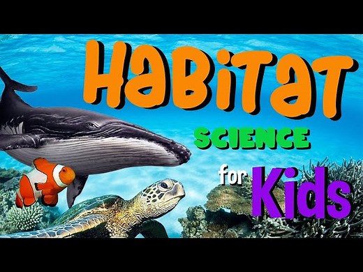Habitat | Science for Kids - Videos For Kids