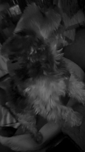 Am gibbing dis lady da piece of mees mind! Da nerve dis heifer. BOL! For those who asked what I sound like. Prepare for an ear full! | Mama Bear & Baby Bear