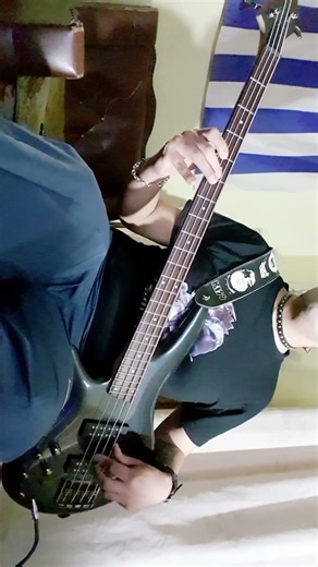 Colour My World - #basscover 🎸🎵🎼
