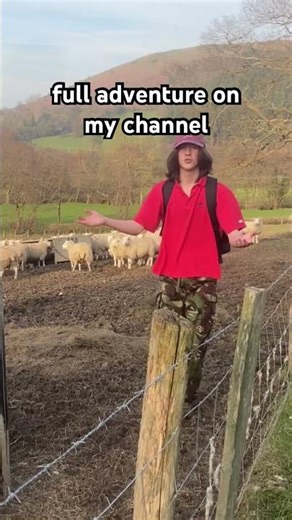 feeding the sheep #adventure #walking #natureadventure #nature