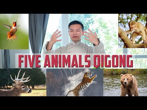 Five Animal Qigong Full Routine
