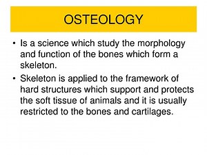 OSTEOLOGY - SlideServe