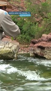 31K views · 325 reactions | Exclusive Dorado fishing in the remote...