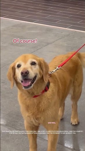 It’s never too late to teach an old dog new tricks, just ask Brandon, a PetSmart associate🐾