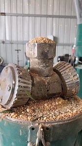 Looking for durability? Our feed pellet machine is engineered for excellence! Whatsapp: wa.me/ 8615966681218 #feedpelletmachine #feedpelletmills #animalfeedpelletizer #feedpelletmakingmachine #feedpelletmachineforsale #pelletfeedmillforsale | Pellet Machine Manufacturer