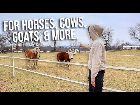 Quickest & Most Effective Farm Fencing / 4 Fencing Types & Comparisons