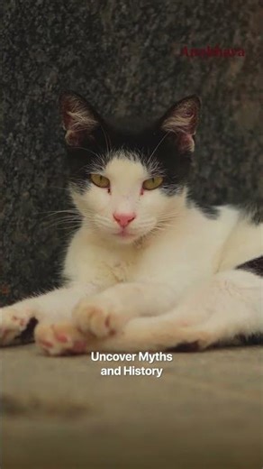 ✨ Anubhava – Experience the Divine ✨