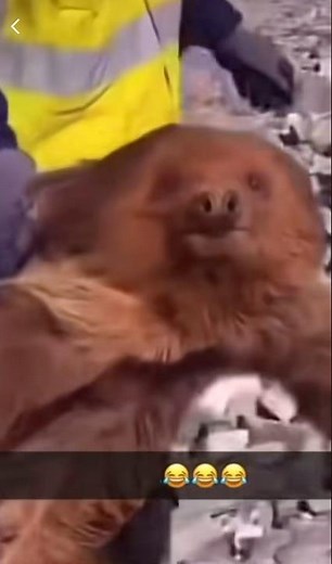 I'M TOTALLY HARRY POTTER‼️😅 #harrypotter #buzz #flash #react #shorts #ixbuzz