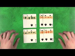 Independent Assortment - Tales from the Genome