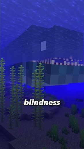 DON'T go near the OCEAN #minecraft