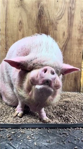 The suspense is real! Who will Stanley bond with? Let us know your guesses!