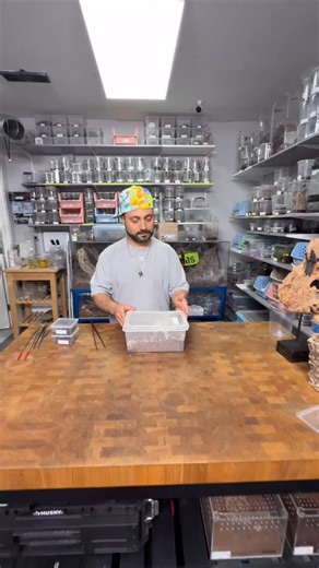 6.1K views · 162 reactions | We’re going live on Palmstreet  September 7th • 12:30 PM PST Join us here: https://palmstreet.app/l/U5R46LoU  Mystery Bags are back!  Packed with rare tarantulas you can pull—including Brazilian Jewels and other high-demand species.  Every bag is loaded. ️ Everyone’s a winner. Don’t sleep on this one—it’s our heaviest drop yet! #tarantulas | Urban Tarantulas | Facebook