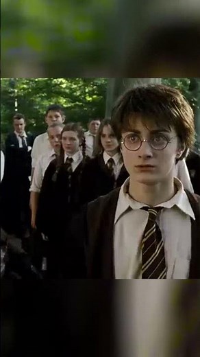 Meet Buckbeak: The Majestic Hippogriff and How to Approach It