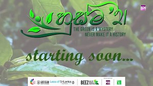 Webinar for Advanced Level Biological Science students on Ecosystems...