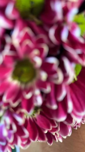 14K views · 289 reactions | Siliguri class demonstration | Rumjhum Chakraborty | Facebook