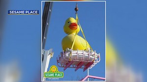 Help Sesame Place find a new home for its PA Rubber Duckie