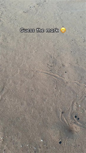 Exploring the Desert Landscapes of Algeria