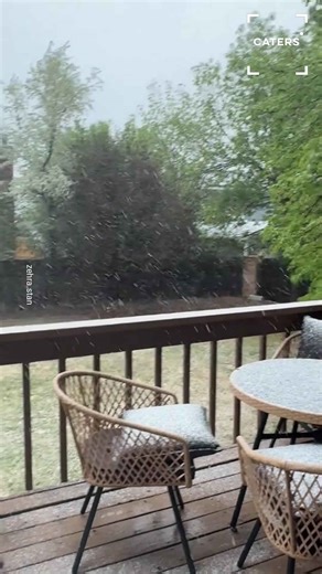 Dogs experience rare May snowstorm in Colorado