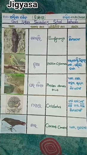 jigyasa class 9th in 2025 🤗💜#viralshort #ytshorts 💜🤗