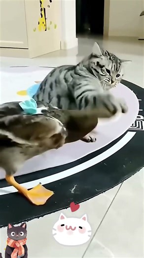 Epic Cat Fails 😹 Try Not to Laugh! #shorts