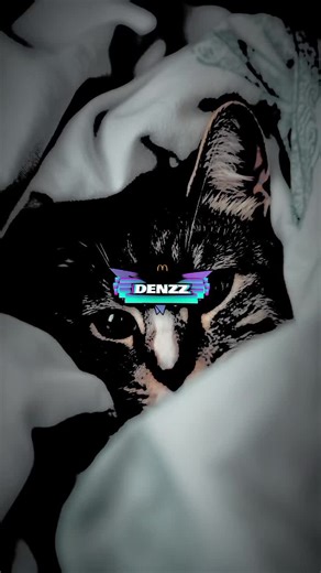 Preset Editing Techniques for Longer Videos