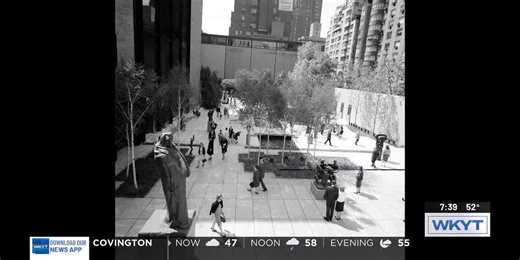 This Day in History: November 7