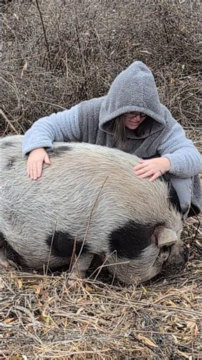 Just A Woman And Her Pig #pig #piggy #petpig #minipig #farmanimals