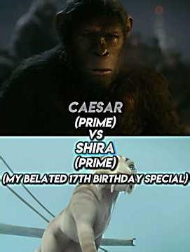 Caesar Vs Shira (My Belated Birthday Special)