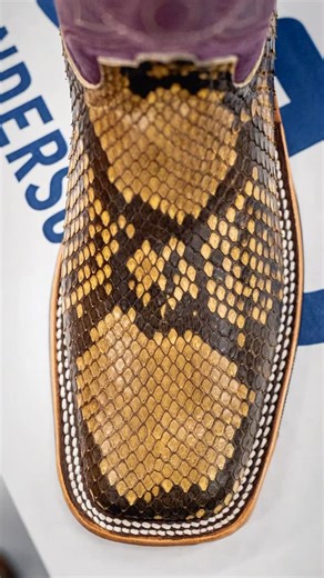 The Boot Store on Instagram: "New Exclusive Men’s & Women’s Python Boots from Anderson Bean! Only at MYBOOTSTORE.COM! • • #andersonbean #andersonbeanboots #pythonboots #westernwear #cowboyboots"