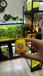 57K views · 610 reactions | Feeding time!  (Dried Brine Shrimp) . ....