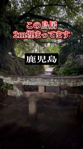 【桜島】たった1日で火山灰に埋もれた鳥居。「黒神埋没鳥居」が凄すぎた。#桜島 #鹿児島 #黒神埋没鳥居 #ぼっち散歩