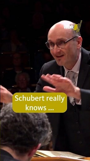 A masterpiece of Romanticism: Franz Schubert and his Unfinished Symphony #classicalmusic #symphony