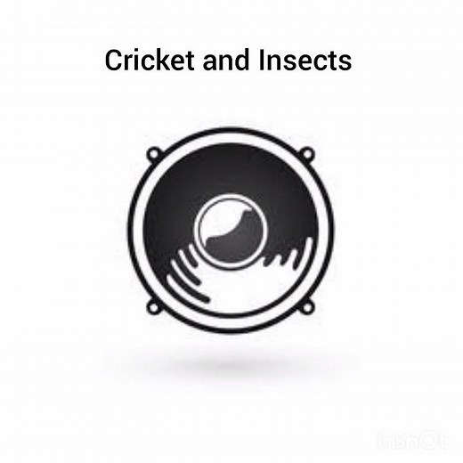 5 different types of cricket sound effects