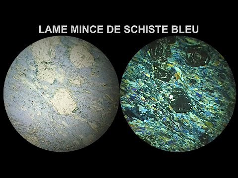 Schiste bleu à grenat et glaucophane Immersion 360° LPnA vs LPA x40