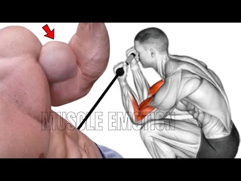 5 BEST BICEPS WORKOUT WITH CABLE ONLY AT GYM
