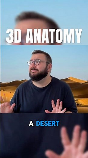 Do 3D anatomy learning tools work?