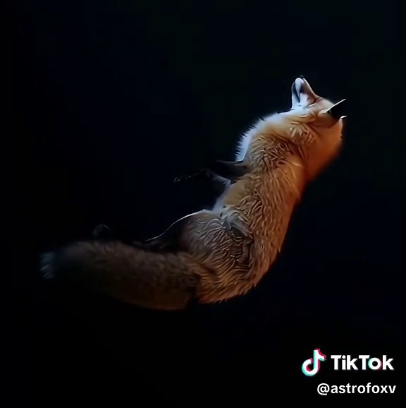 One Last Time - Astrofox #originalmusic #originalsong #songwriter #songwriting #astrofox